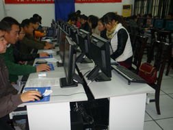 茅山鎮(zhèn)計(jì)算機(jī)信息高新技術(shù)培訓(xùn)考試圓滿落幕，數(shù)字技能賦能鄉(xiāng)村振興新篇章